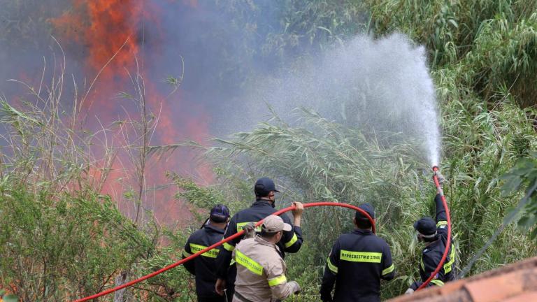 Σε εξέλιξη παραμένει η πυρκαγιά στα Μέγαρα-Υπό μερικό έλεγχο η Κνωσός (PHOTOS+VIDEO)