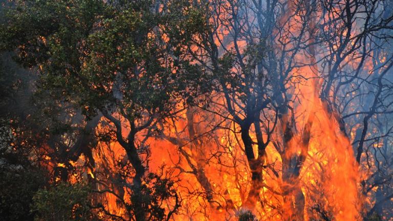 Πυρκαγιά στη Μακύνεια Ναυπακτίας