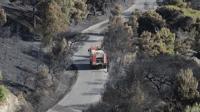 Υπό μερικό έλεγχο η φωτιά στο Κάτω Σούλι Μαραθώνα 