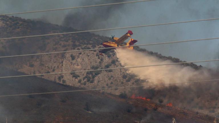  ΠΥΡΚΑΓΙΑ ΣΤΑ ΛΕΥΚΑΚΙΑ ΝΑΥΠΛΙΟΥ