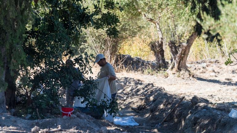 Ξανά στο δέντρο οι έρευνες για τον Μπεν και σε έναν βόθρο μετά την ανακάλυψη των αρχαίων τάφων