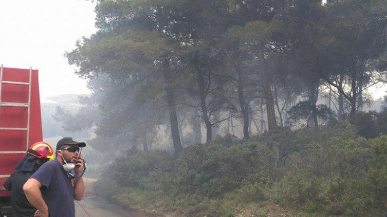 Νέα πυρκαγιά στην Ζάκυνθο αυτή την φορά στο Ναυάγιο-Στόχος οργανωμένου σχεδίου το νησί;