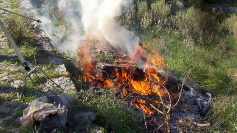 Συνελήφθη 65χρονη που προκάλεσε πυρκαγιά στον Πύργο επειδή έκαιγε κλαδιά