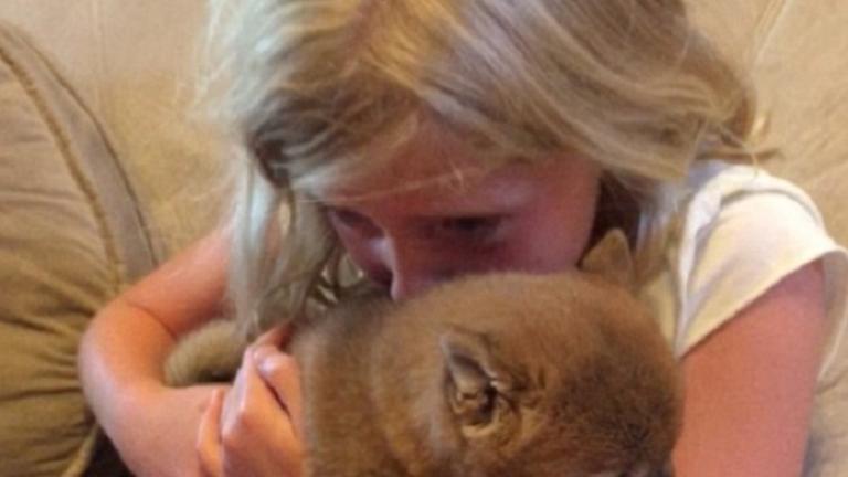 "Πες μου ότι δεν είναι όνειρο"! Μία 9χρονη όταν της χάρισαν ένα κουταβάκι (ΦΩΤΟ&ΒΙΝΤΕΟ)