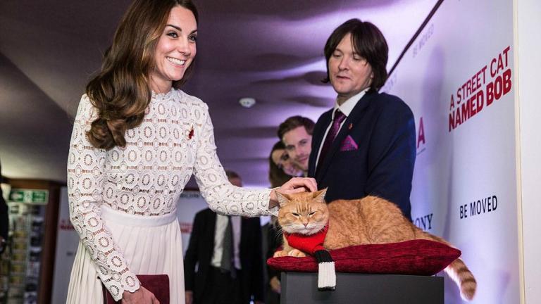 'Οταν ο Μπομπ άφησε την Κέιτ να τον χαϊδέψει