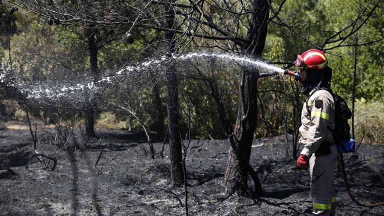 Οριοθετήθηκε η πυρκαγιά στο Κρυονέρι-Σε ύφεση-Αποχώρησαν τα εναέρια 