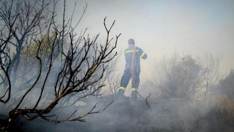 Φωτιά στην Ηλεία: Οι πυροσβέστες «παλεύουν» με τους ισχυρούς ανέμους