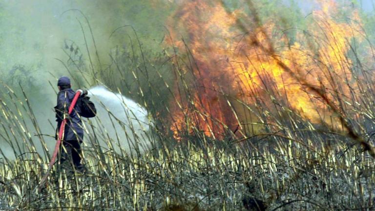 Νέα πυρκαγιά στην Επίδαυρο-Σε ύφεση στη Νεμέα
