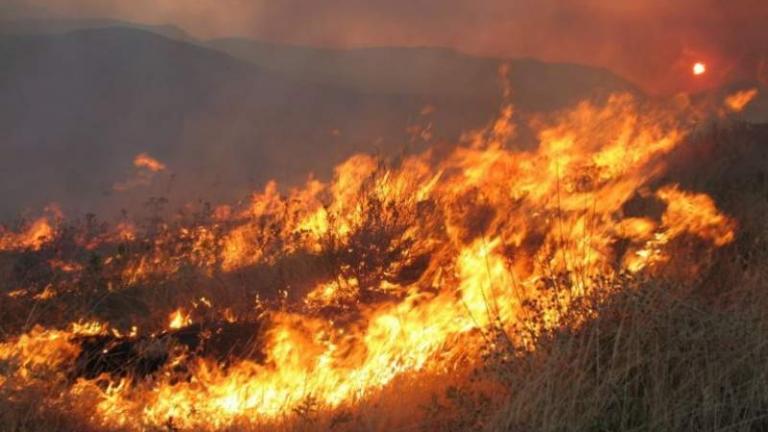 Πυρκαγιά σε δάσος στην Κεφαλλονιά 