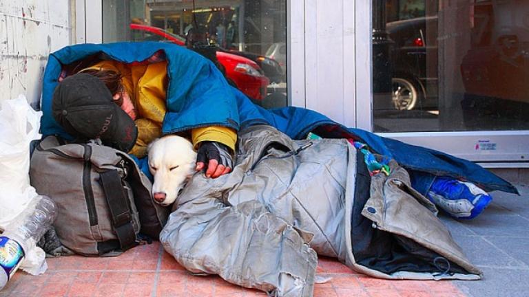 16 σκύλοι που δεν παράτησαν τους ιδιοκτήτες τους παρά τις δυσκολίες! (ΦΩΤΟ)