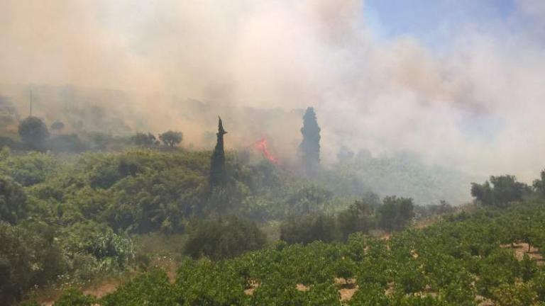 Μάχη με τις φλόγες - Μεγάλο μέτωπο στους Αγίους Θεοδώρους Μεγαλόπολης