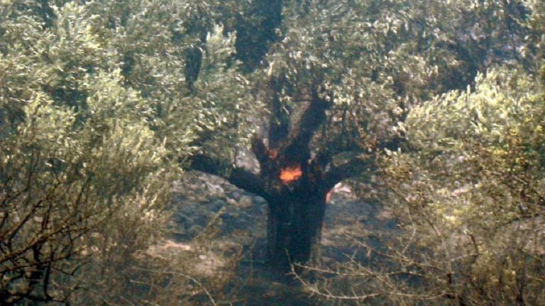 Τρία πύρινα μέτωπα στην Κρήτη 