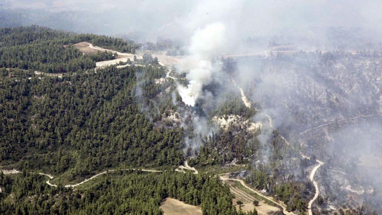 Ανεξέλεγκτη μαίνεται μεγάλη φωτιά στον Μαρμαρά Χαλκιδικής (ΦΩΤΟ&ΒΙΝΤΕΟ)