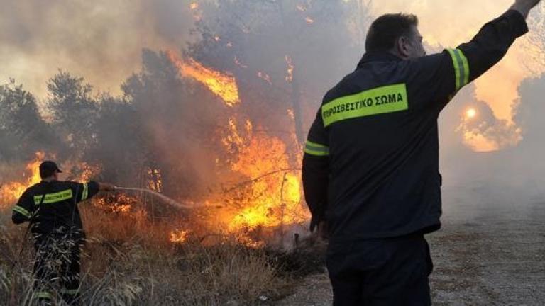 Σε εξέλιξη πυρκαγιά κοντά σε οικισμό στην Ανάβυσσο