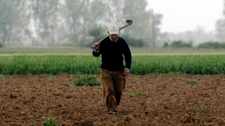 «Ένεση» ρευστότητας 932 εκατ. ευρώ σε 622.000 αγρότες	