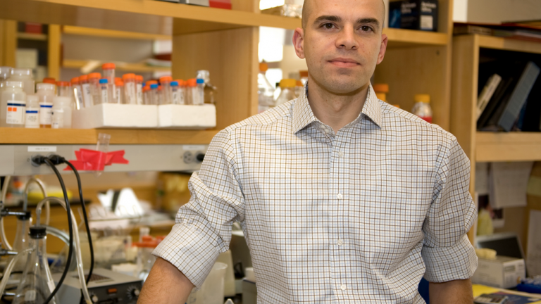 Ο Έλληνας Γιάννης Αϋφάντης ερευνητής στη Νέα Υόρκη συσχετίζει τη βιταμίνη C με θεραπεία από καρκίνους του αίματος