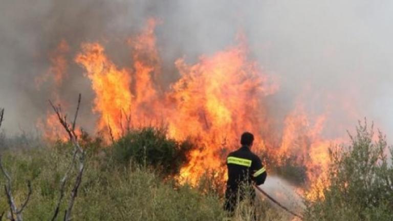 Ακόμη δυο φωτιές ξέσπασαν νωρίτερα στη Θεσσαλονίκη, σε Αρέθουσα και Περιστερά