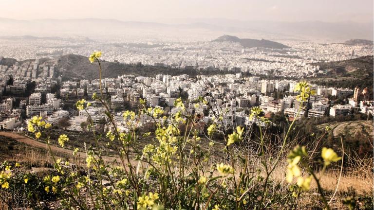 1η Μαρτίου: Άνθη ψύχος δρόσος... και σε λίγο μπαίνει η άνοιξη (Φωτό)