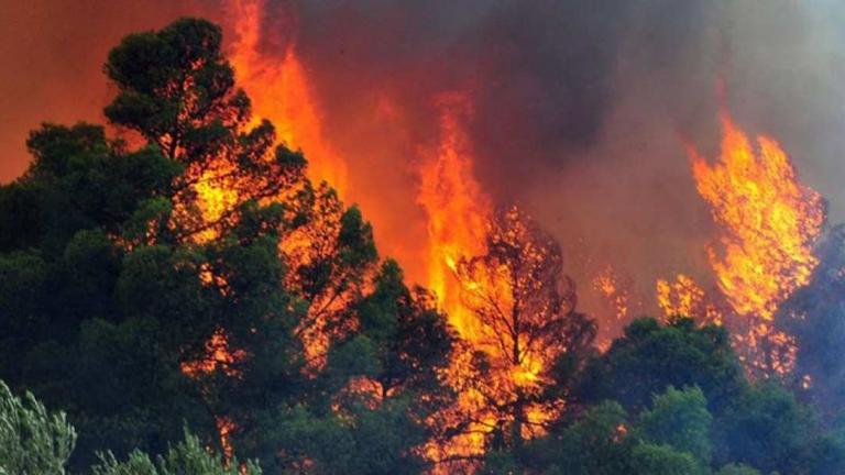 Παραμένουν σε εξέλιξη μεγάλες φωτιές σε Ασπρόπυργο και Χίο-Σε ύφεση η πυρκαγιά στο Μενίδι