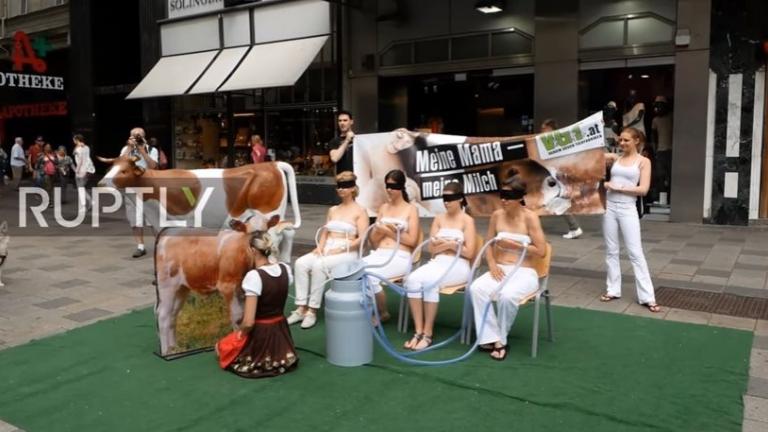 Άρμεξαν ακτιβίστριες για να διαμαρτυρηθούν για το γάλα! (ΒΙΝΤΕΟ)