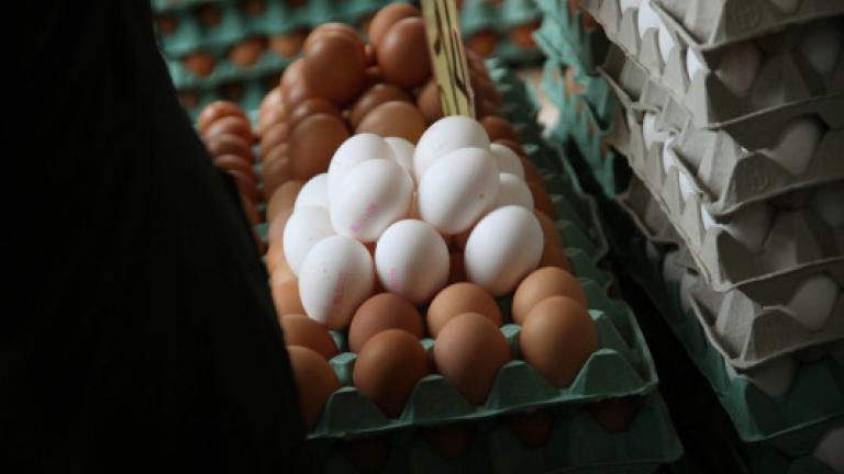 Σε μαζική απόσυρση παρτίδων αυγών προχώρησαν αλυσίδες σουπερμάρκετ σε Ολλανδία και Γερμανία