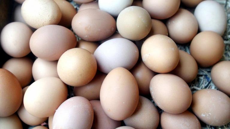 Οι 13 απίστευτοι τρόποι να μαγειρέψετε ένα αυγό 