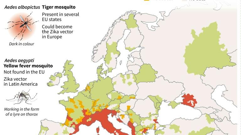 Στην Ευρώπη ο ιός Ζίκα το καλοκαίρι