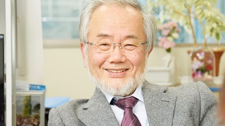 Σε Ιάπωνα επιστήμονα το βραβείο Νόμπελ Ιατρικής 2016 