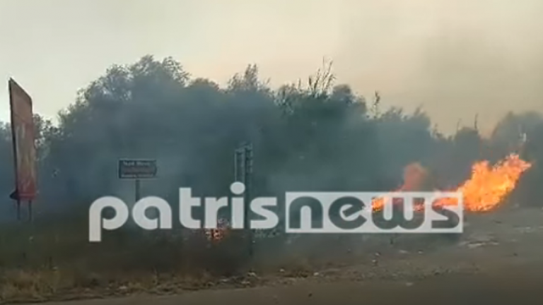 Φωτιά στην Ηλεία: «Την πρόλαβαν πριν μπει στην Αρχαία Ολυμπία» τονίζει ο Περιφερειάρχης-Σε ύφεση η φωτιά