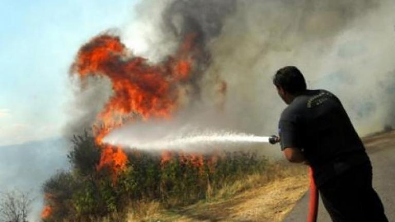 Σε εξέλιξη νέα πυρκαγιά στην Ήλιδα Ηλείας