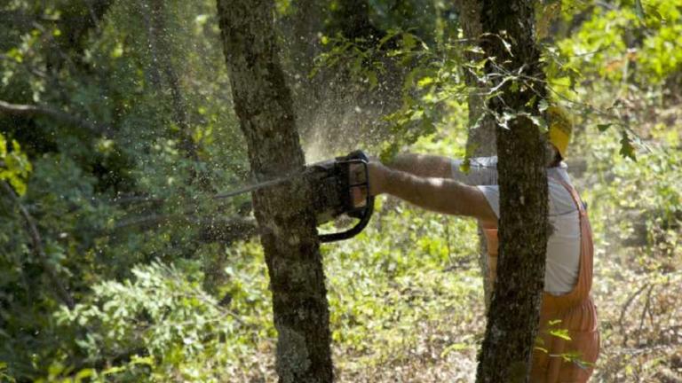 Η συντονιστική επιτροπή Συμβολαιογραφικών Συλλόγων Ελλάδας ζητεί την άμεση ανάκληση των αναρτημένων δασικών χαρτών και την αναστολή κύρωσης των δασικών χαρτών