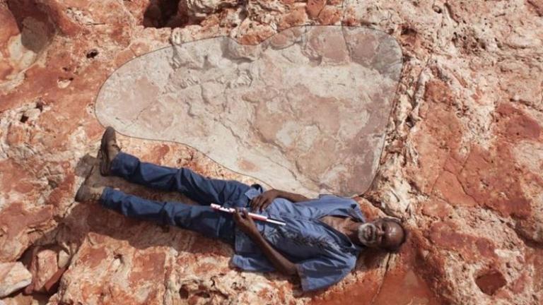 Ένα ιστορικό εύρημα με το μεγαλύτερο αποτύπωμα δεινόσαυρου στον πλανήτη, ανακαλύφθηκε στη Δυτική Αυστραλία