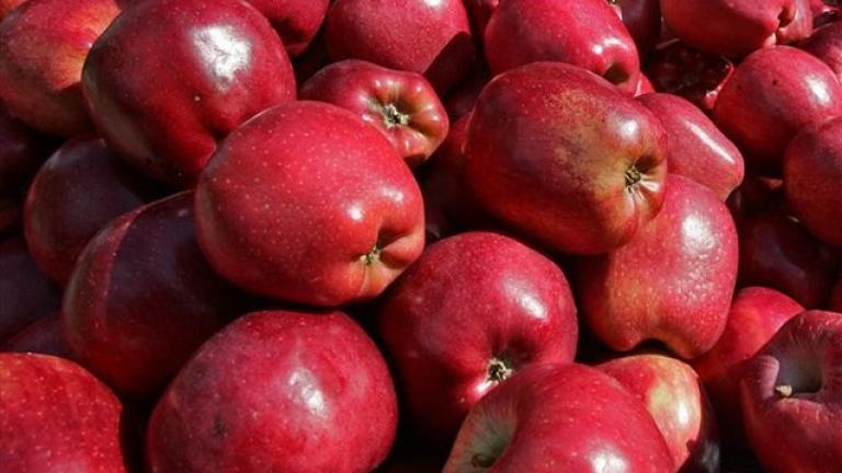 Δεσμεύθηκαν 4,8 τόνοι μήλων άγνωστης προέλευσης