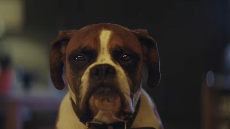 Χριστούγεννα 2016: Η διαφήμιση που σαρώνει (ΒΙΝΤΕΟ)