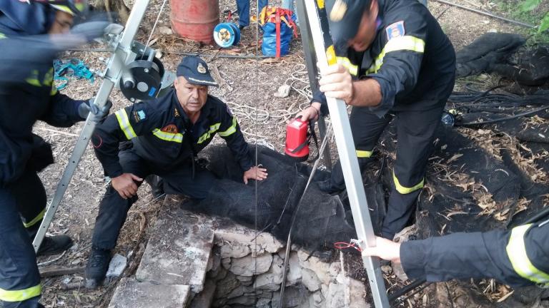 Άγιο είχε 7χρονο αγοράκι που έπεσε σε πηγάδι βάθους 7 μέτρων στην Πάρο