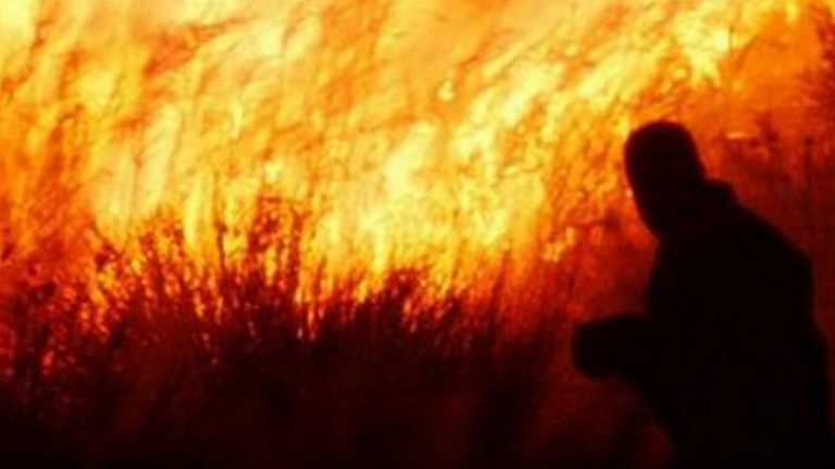 Εμπρηστής επί έξι χρόνια είχε προκαλέσει πάνω από 30 δασικές πυρκαγιές στα Μέγαρα