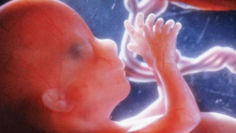 Έμβρυο βρέθηκε μέσα σε πλαστική σακούλα στην Κατερίνη 