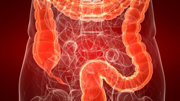 Ρομποτική κάψουλα θα εξερευνά το έντερο