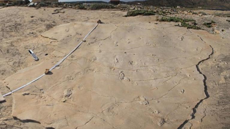 Εντοπίστηκε ο αρχαιοκάπηλος που "σήκωσε" από την Κίσσαμο τα πιο αρχαία απολιθώματα με ίχνη ανθρώπου στη Γη