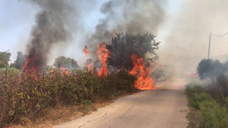 Ανάμεσα σε θερμοκήπια, ελαιώνες ακόμα και σπίτια νέα μεγάλη φωτιά που ξέσπασε στην ΒΙ.ΠΕ. Πρέβεζας. Οριοθετημένη και χωρίς ενεργό μέτωπο η φωτιά στην Καισαριανή-Συνεχείς ρίψεις νερού υπό τον φόβο τυχόν αναζωπυρώσεων λόγων ανέμων (ΦΩΤΟ-ΒΙΝΤΕΟ)