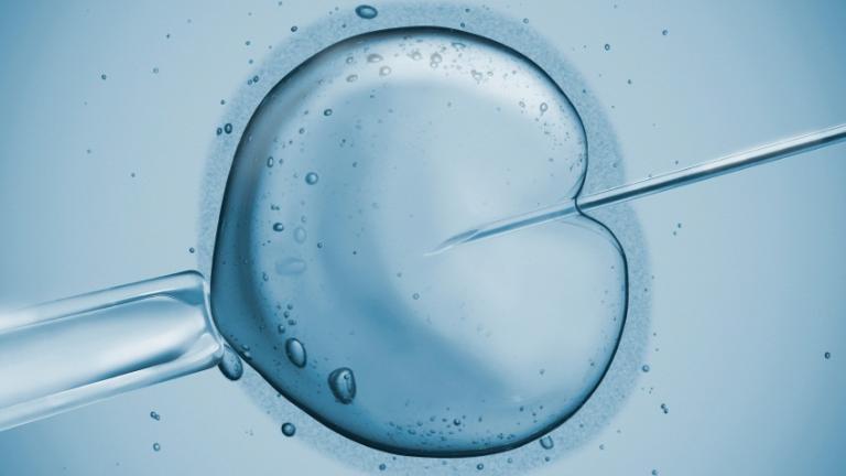 Καταρρίπτονται οι μύθοι για γενετικές ανωμαλίες στην εξωσωματική γονιμοποίηση