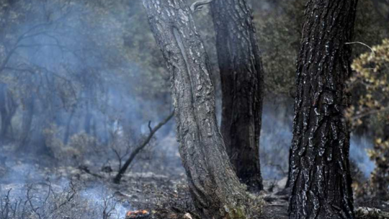 Υπό μερικό έλεγχο τέθηκε η φωτιά στα Δερβενοχώρια