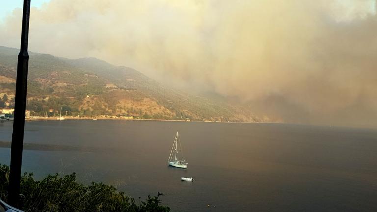 Φαράκλα Εύβοιας: Σε επιφυλακή όλη τη νύχτα οι δυνάμεις πυρόσβεσης