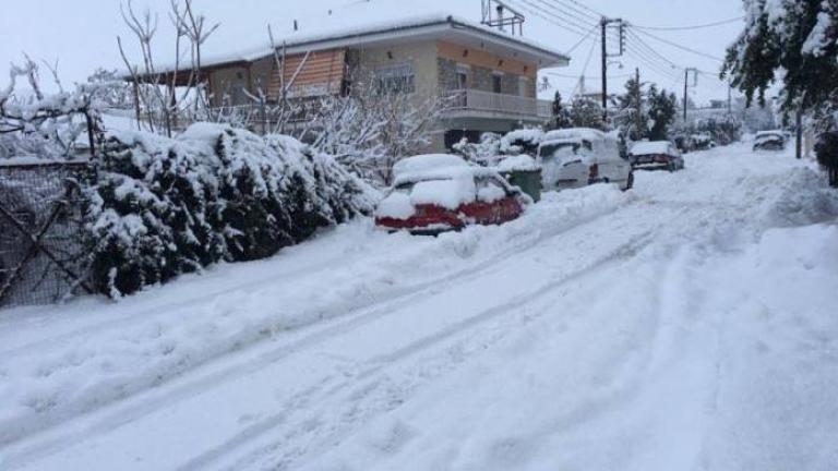 Λάρισα: Συνεχίζεται η χιονόπτωση στον νομό - Κλειστά παρέμειναν αρκετά σχολεία