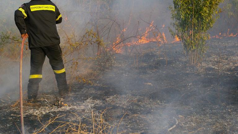 Υπό μερικό έλεγχο η φωτιά στο Κιλκίς