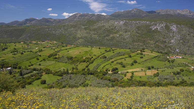 Σκοτώθηκε μαζεύοντας τσάι και ρίγανη