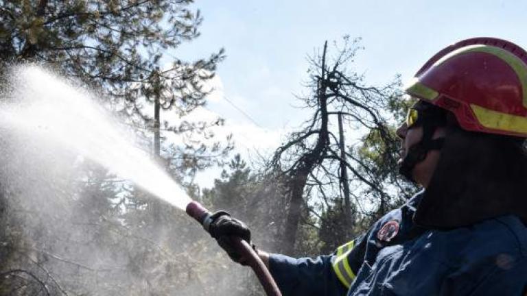 Η πρώτη πυρκαγιά οριοθετήθηκε, πέρασε ξυστά από αυλές σπιτιών και η δεύτερη ξέσπασε τώρα επίσης κάτω από ύποπτες συνθήκες από την κάτω πλευρά της Μαραθώνος (ΒΙΝΤΕΟ)