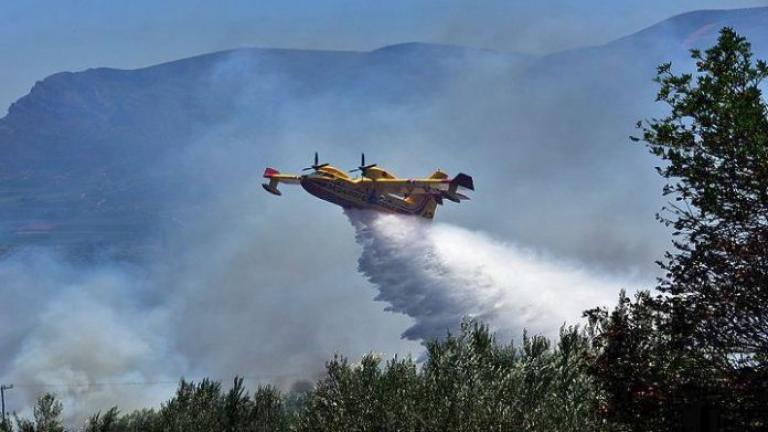 Σε εξέλιξη νέα πυρκαγιά στην Αριδαία Πέλλας-Οριοθετήθηκε στην Αλεξανδρούπολη