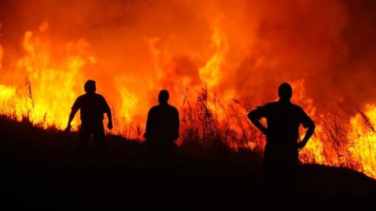 Σε εξέλιξη 5 φωτιές στην Πελοπόννησο-Στην Ανατολική Μάνη κινδύνευσαν σπίτια