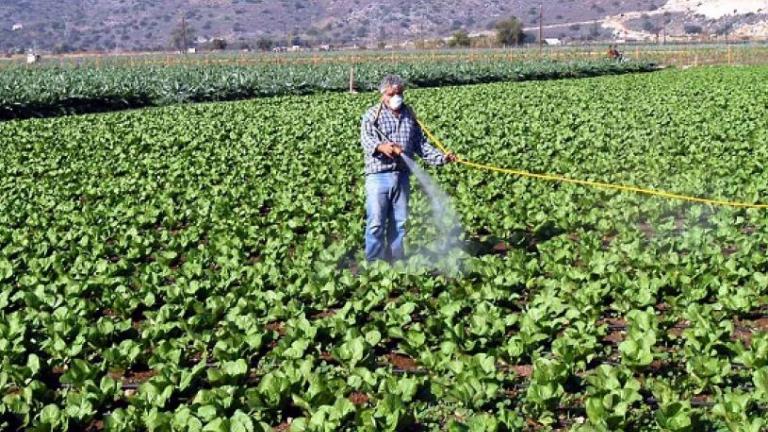 Κατασχέθηκε η μεγαλύτερη, μέχρι σήμερα, ποσότητα παράνομων φυτοφαρμάκων